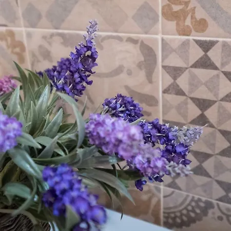Casa Florus Apartment